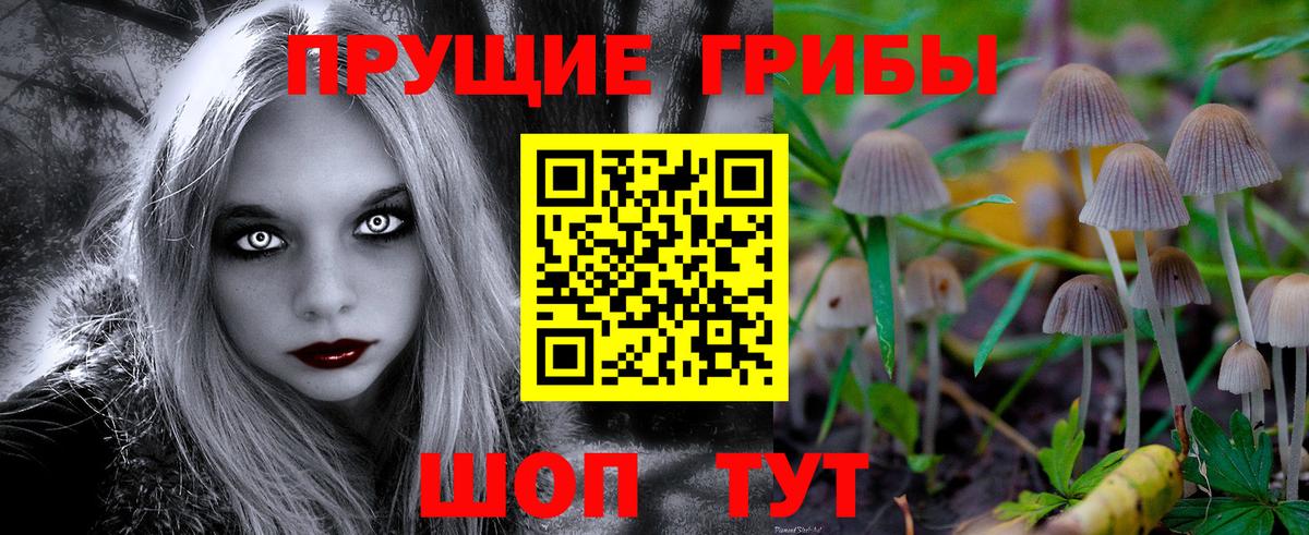 Галлюциногенные грибы Psilocybe Туапсе